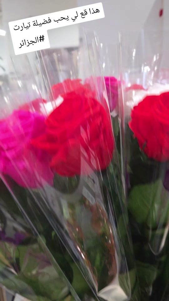 TikTok video thumbnail by fadelaboulanger