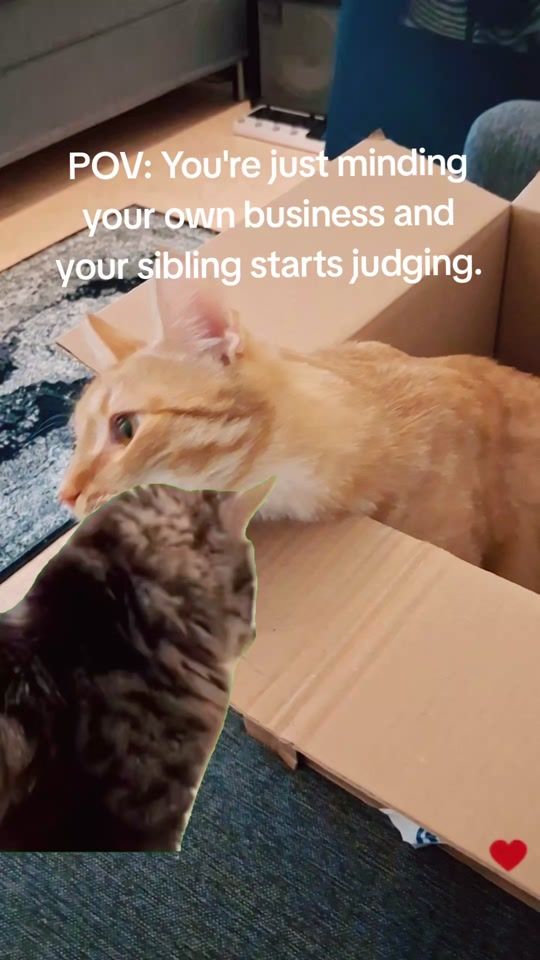 TikTok video thumbnail by funemi184