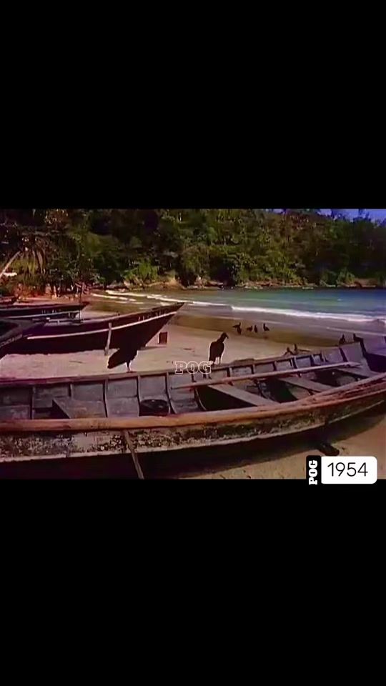 TikTok video thumbnail by rudy2707