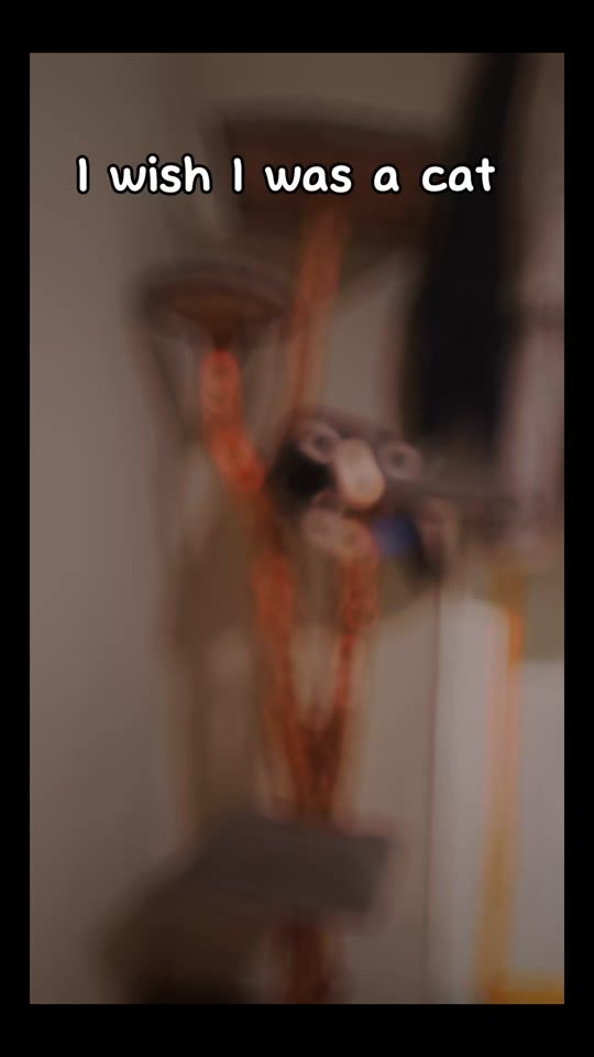 TikTok video thumbnail by lolipo1998