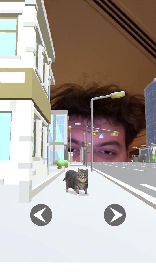 TikTok video thumbnail by stcrares