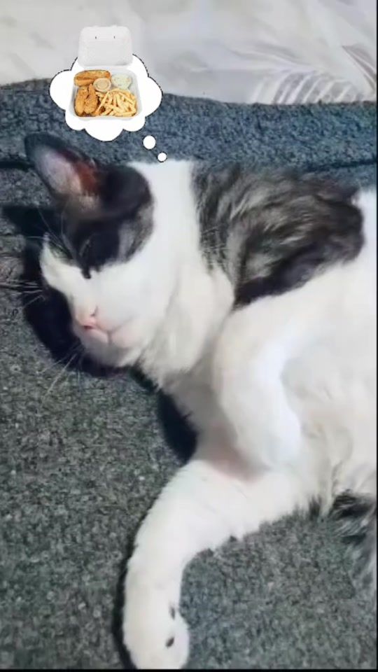 TikTok video thumbnail by simbanalakion