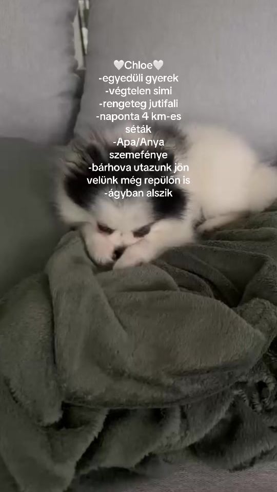TikTok video thumbnail by hacklhanna