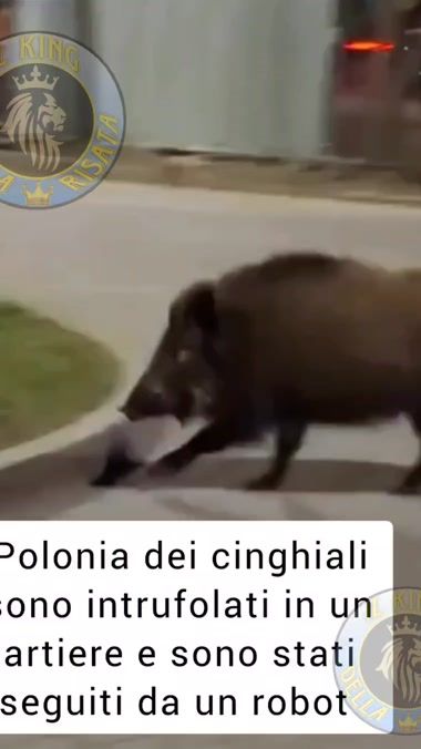 TikTok video thumbnail by ilkingdellarisata_real