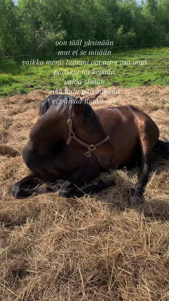 TikTok video thumbnail by teamfrantti
