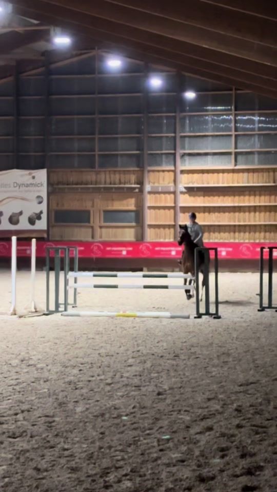 TikTok video thumbnail by eva_legouard