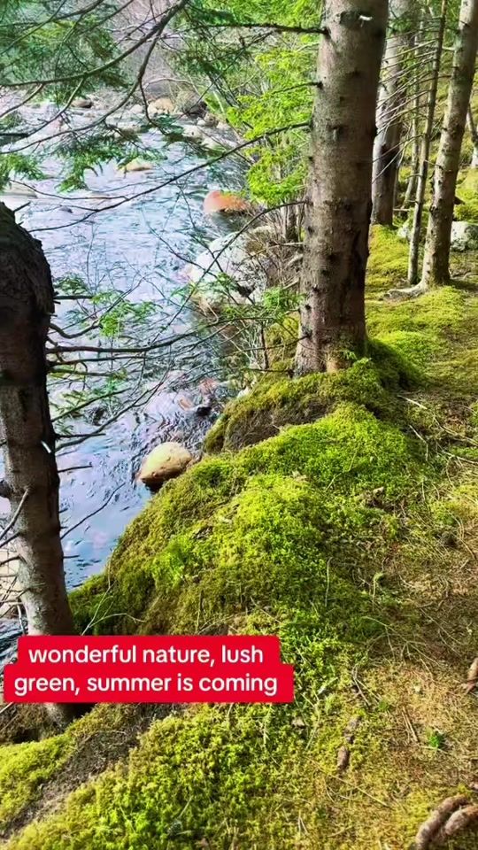 TikTok video thumbnail by ronrotty