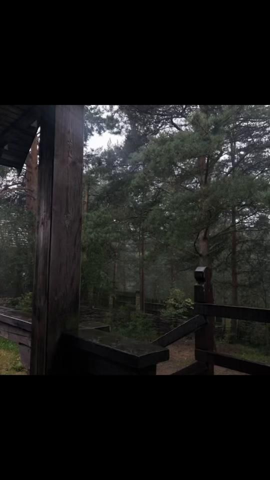 TikTok video thumbnail by midlandsanymore
