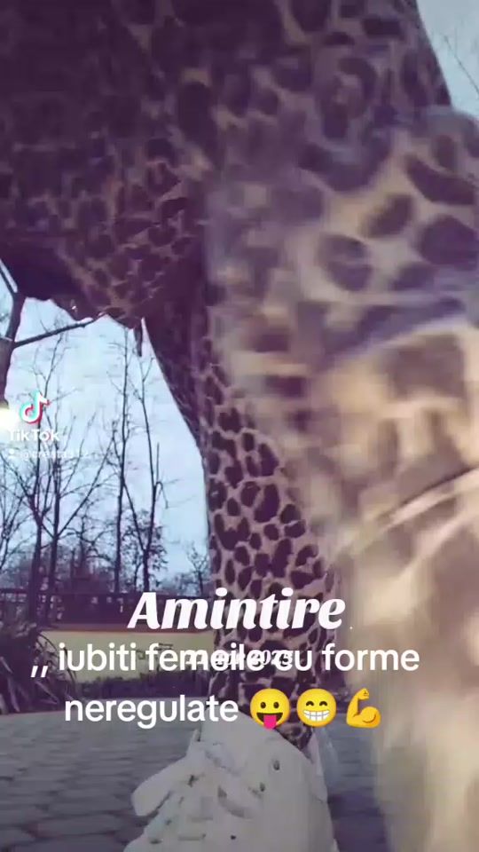 TikTok video thumbnail by creata312