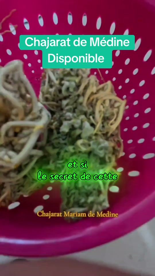 TikTok video thumbnail by visite.arabie