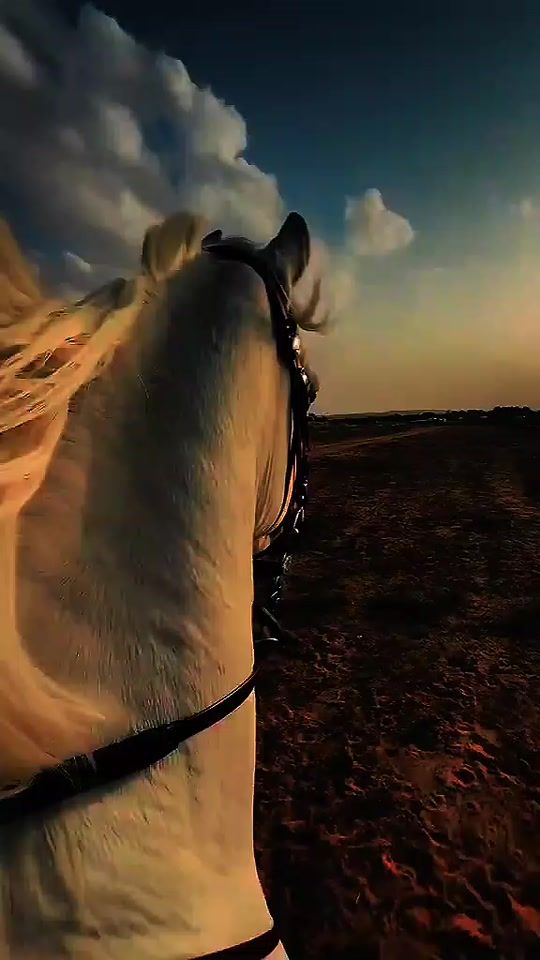 TikTok video thumbnail by elbech.tn1