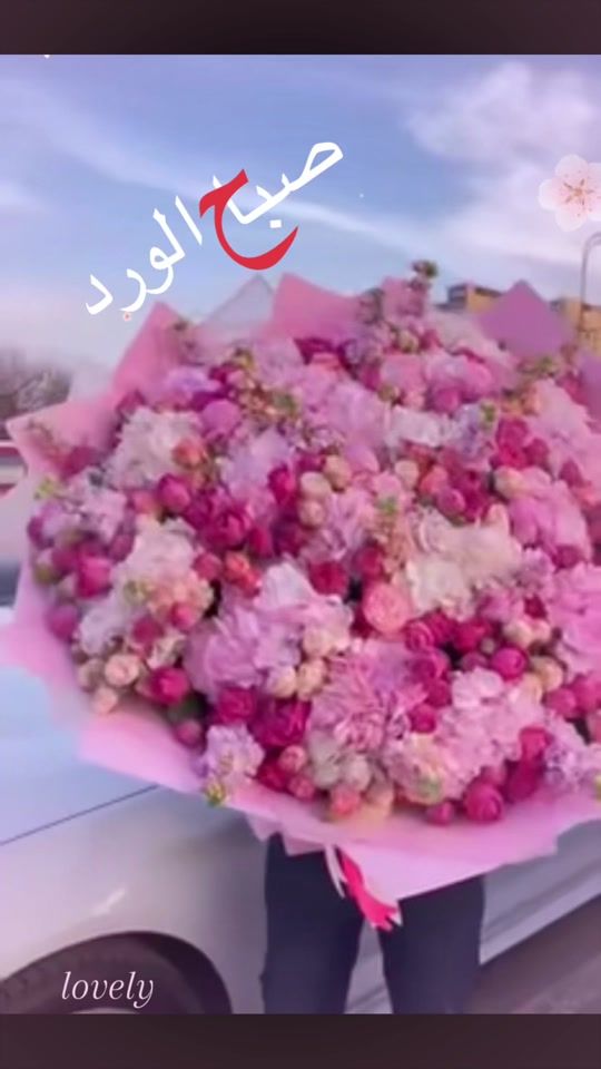 TikTok video thumbnail by warda.cmr