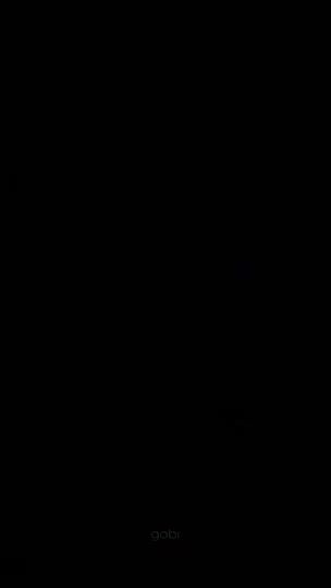 TikTok video thumbnail by gobi.mov