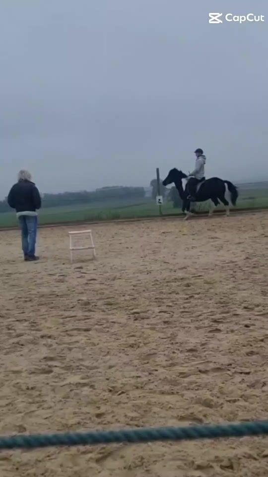 TikTok video thumbnail by horselive275