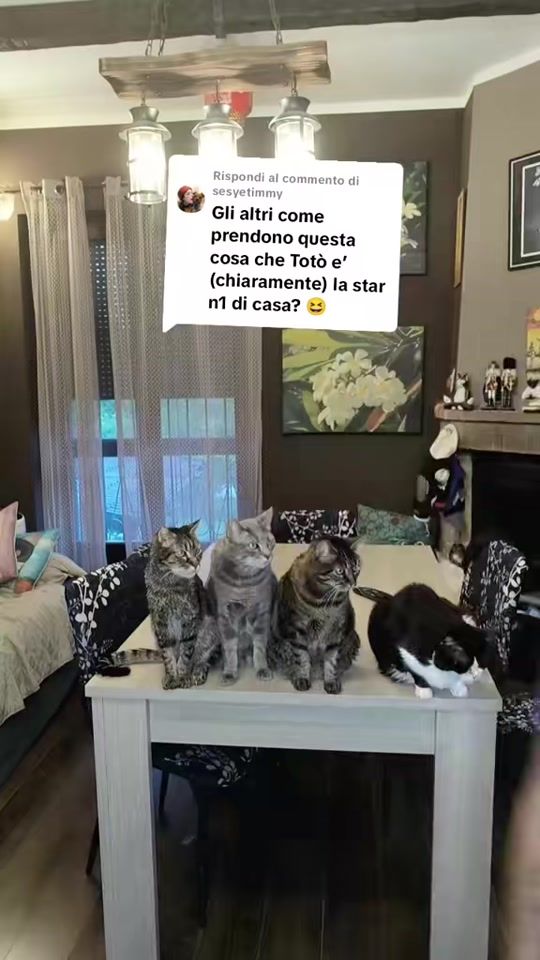 TikTok video thumbnail by __linuccio__
