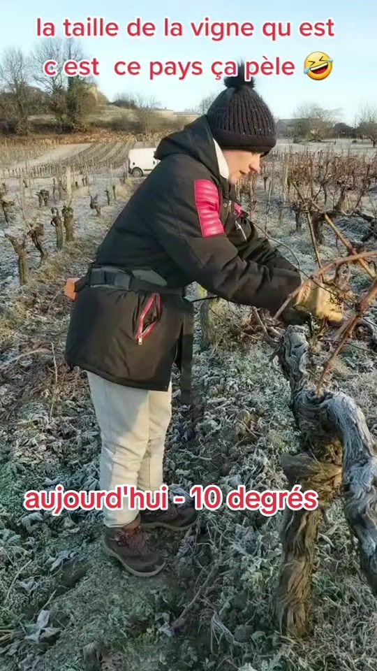 TikTok video thumbnail by pouicpouicblanc