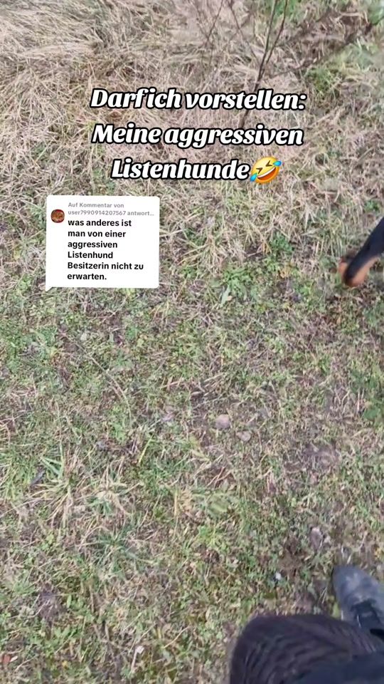 TikTok video thumbnail by bollerkoepfe_sind_toll