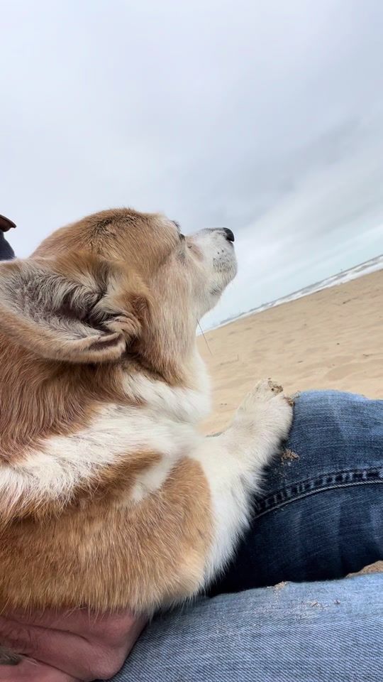 TikTok video thumbnail by steflyncamu