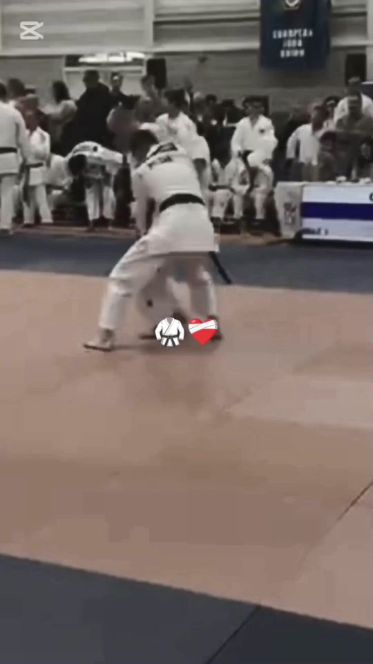 TikTok video thumbnail by leimsideralex._