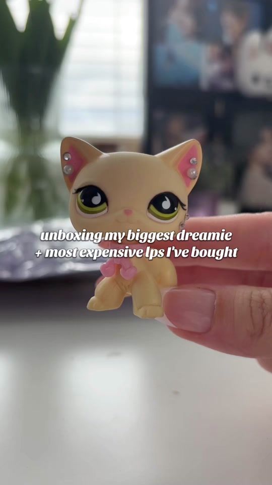 TikTok video thumbnail by vaniapetshops