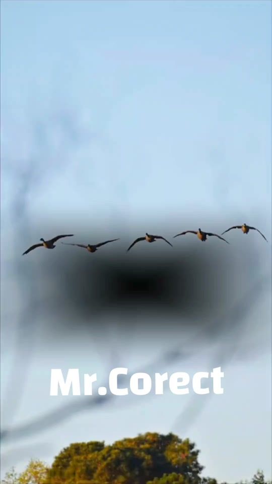 TikTok video thumbnail by mr.corect