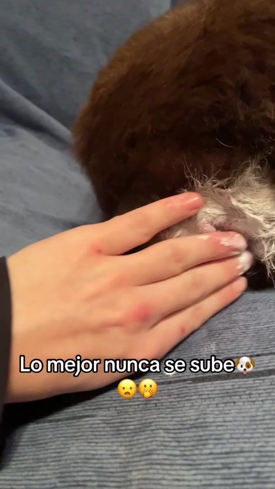 TikTok video thumbnail by rocky45080