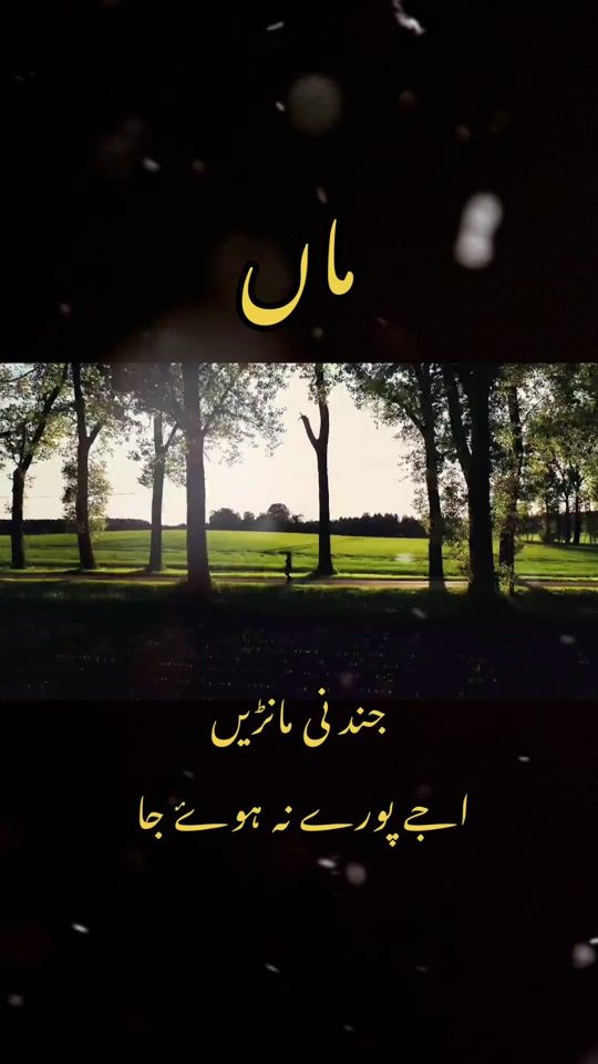 TikTok video thumbnail by jat_3629