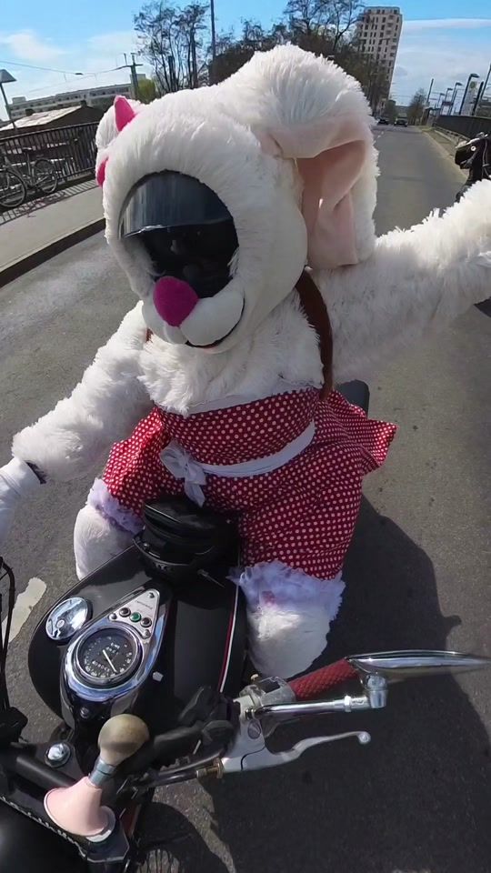 TikTok video thumbnail by dienochgefehlthat