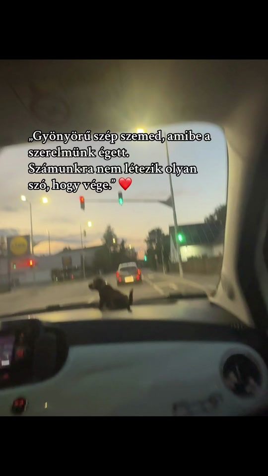 TikTok video thumbnail by b_scarlett_.222
