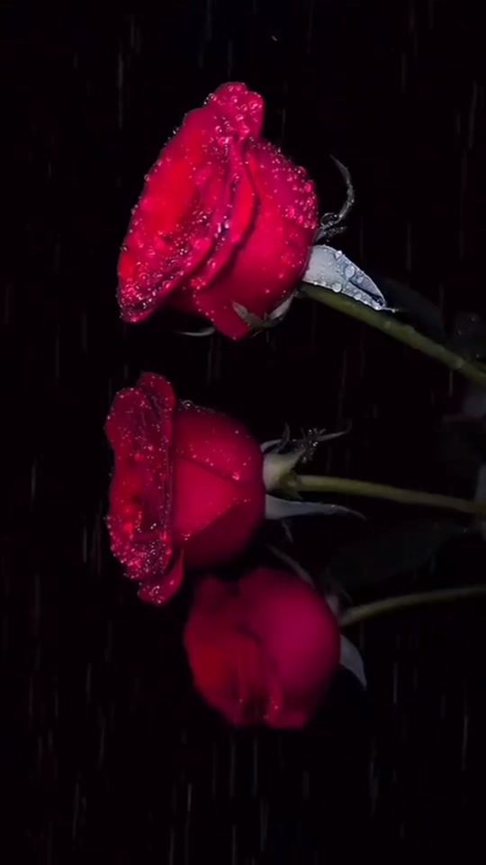 TikTok video thumbnail by dmsmoha