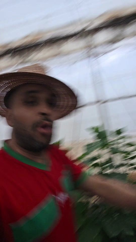 TikTok video thumbnail by rahmaniirahmanii