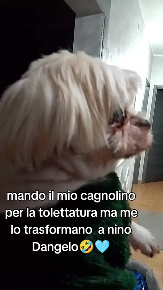 TikTok video thumbnail by simonabennici