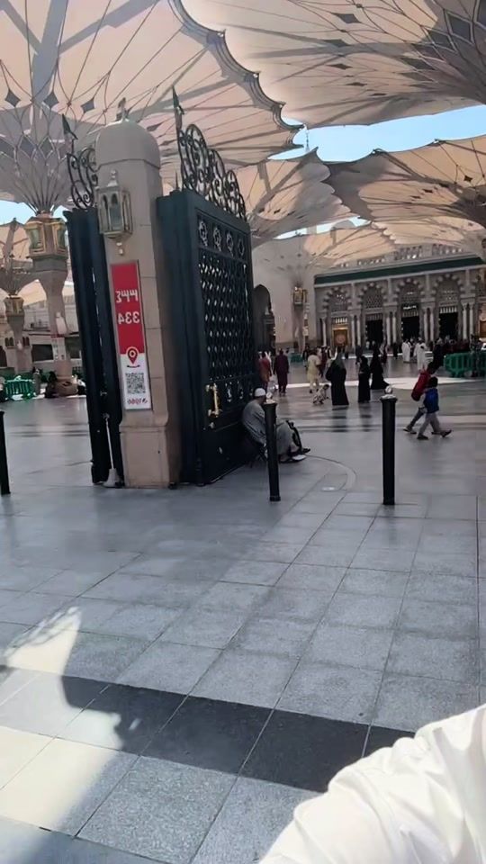 TikTok video thumbnail by ab_hammerville