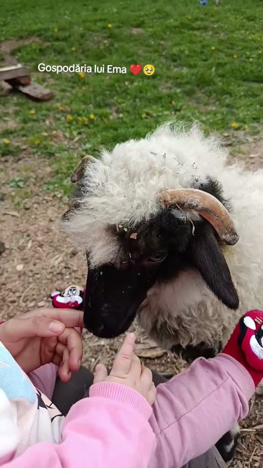 TikTok video thumbnail by florinaburdeti