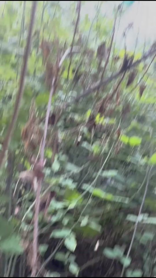 TikTok video thumbnail by indeleble27