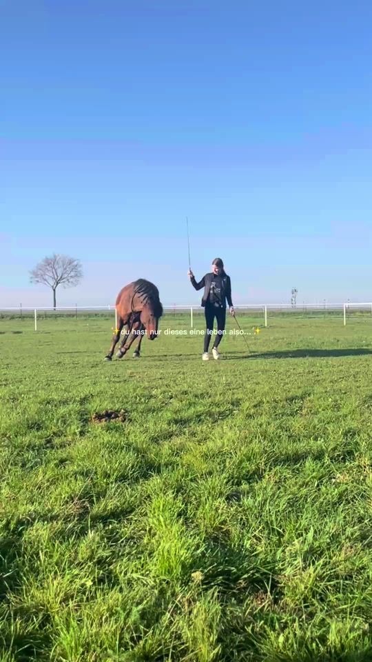 TikTok video thumbnail by jana_liberty