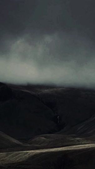 TikTok video thumbnail by wilddflowerwildfire