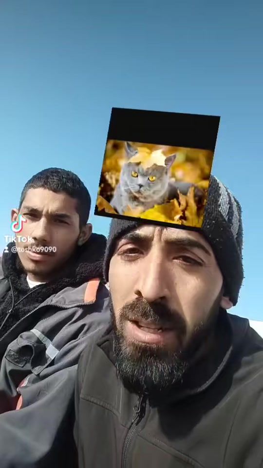 TikTok video thumbnail by toshko9090