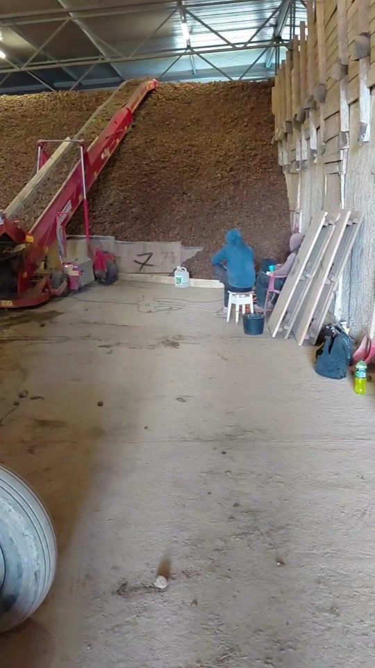 TikTok video thumbnail by bolek181e