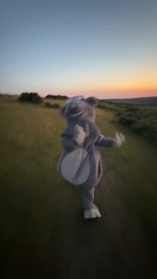 TikTok video thumbnail by bigbackedrats