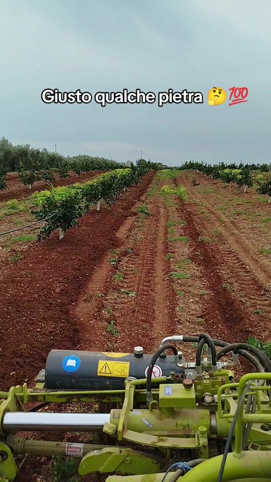 TikTok video thumbnail by ferdinandogesuald2