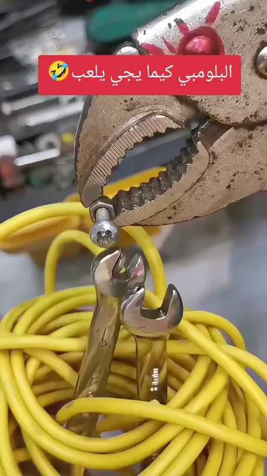 TikTok video thumbnail by cif.csc