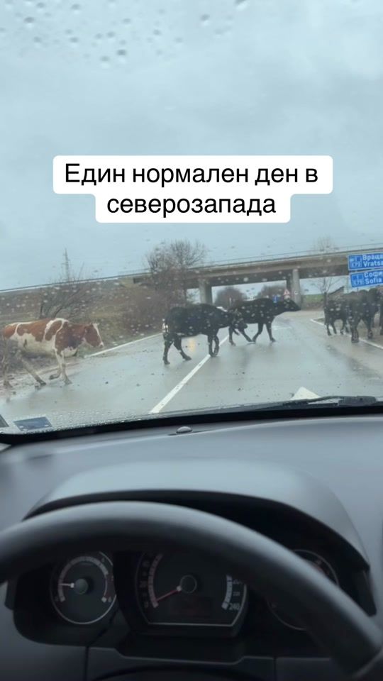 TikTok video thumbnail by denis.rd