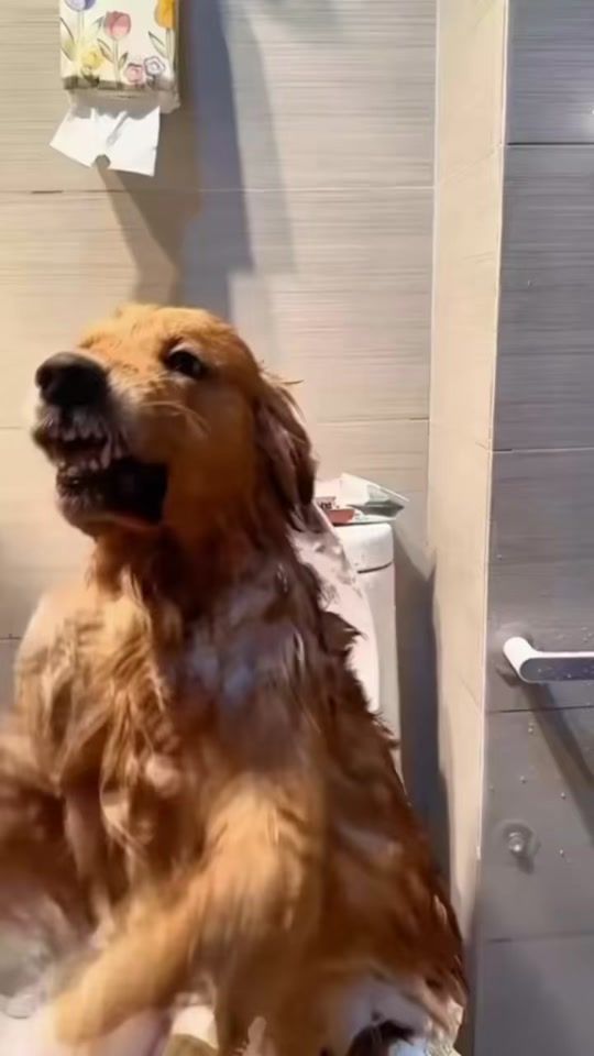 TikTok video thumbnail by ionutuz79