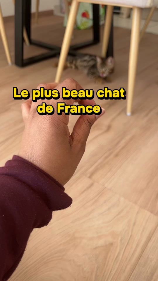 TikTok video thumbnail by justikhlass