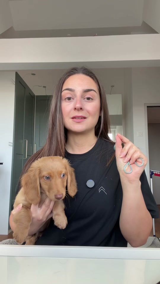 TikTok video thumbnail by aylinhontas.com