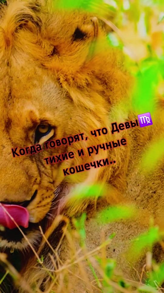 TikTok video thumbnail by venata171