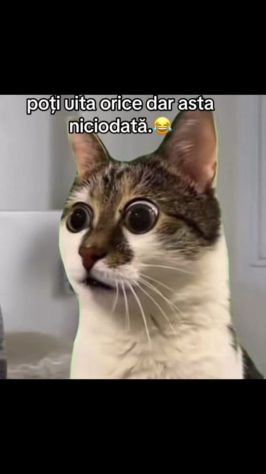 TikTok video thumbnail by bruttal_1