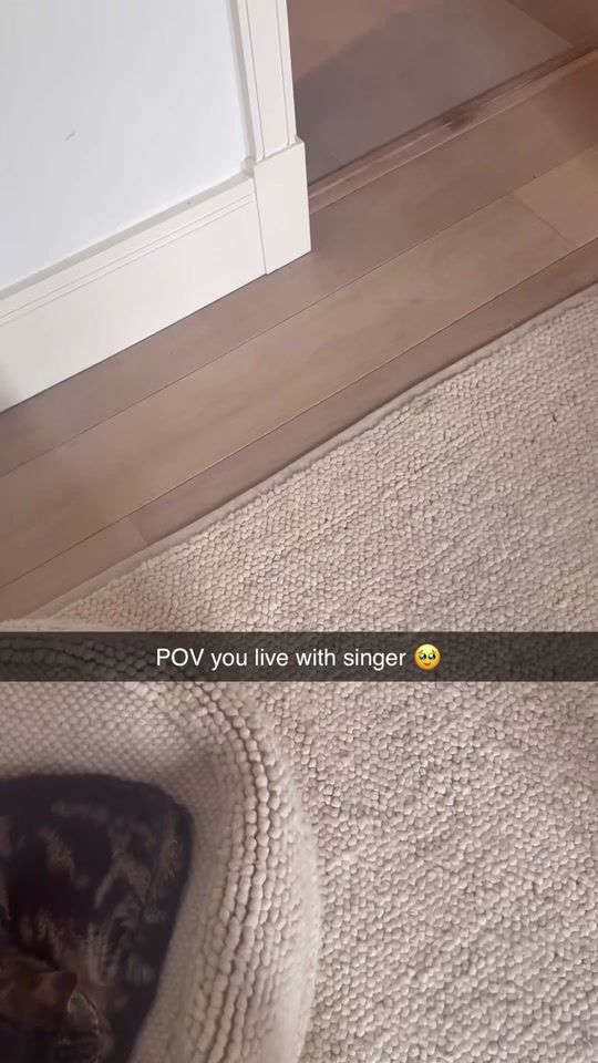 TikTok video thumbnail by thejamescope