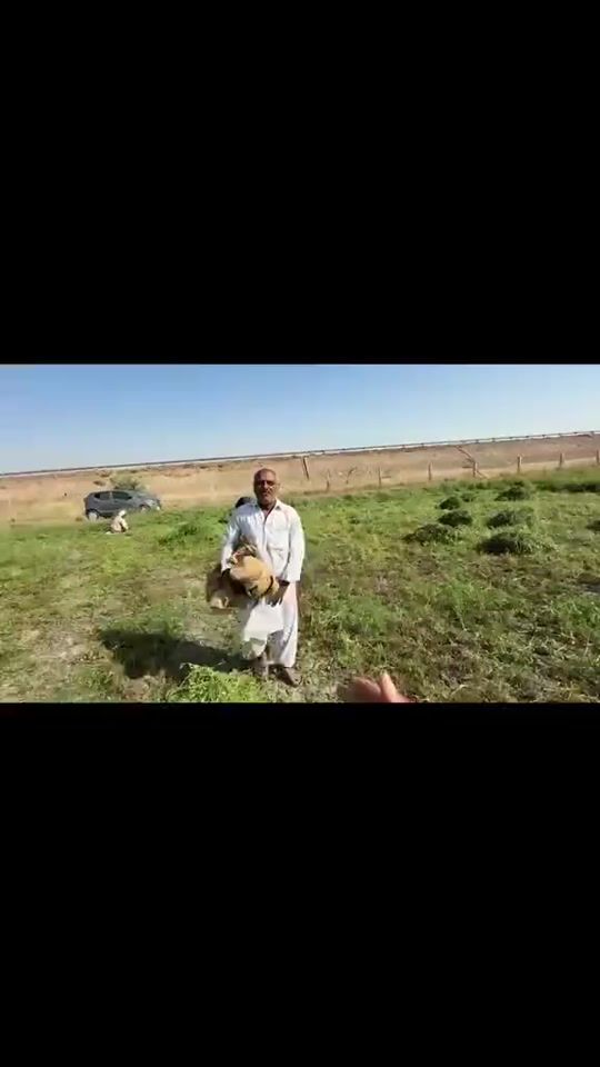 TikTok video thumbnail by waqa5278